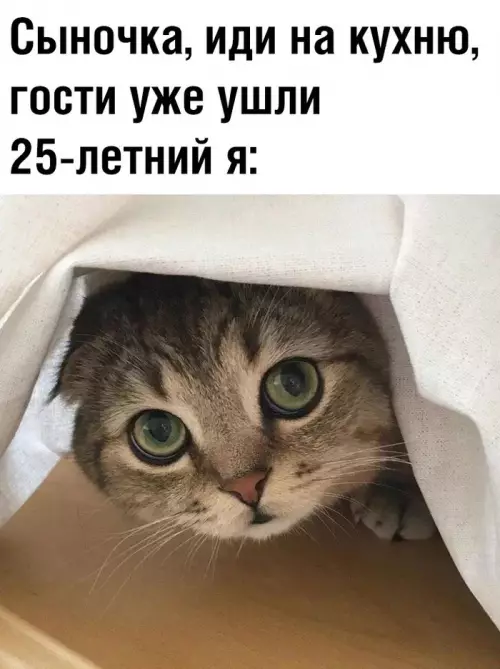 Смешная картинка №627750