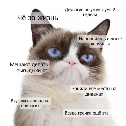 Смешная картинка №482511