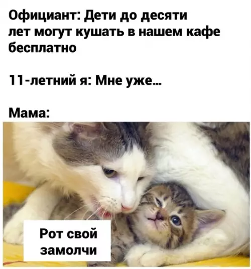Смешная картинка №605105 Былo?