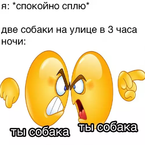 Ночные разборки у подъезда 🐕💥 - я: спокойно сплю две собаки на улице в 3 часа
