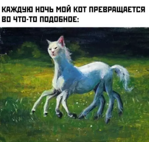 Смешная картинка №774989