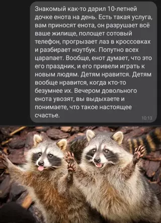 Смешная картинка №635396 Еноты