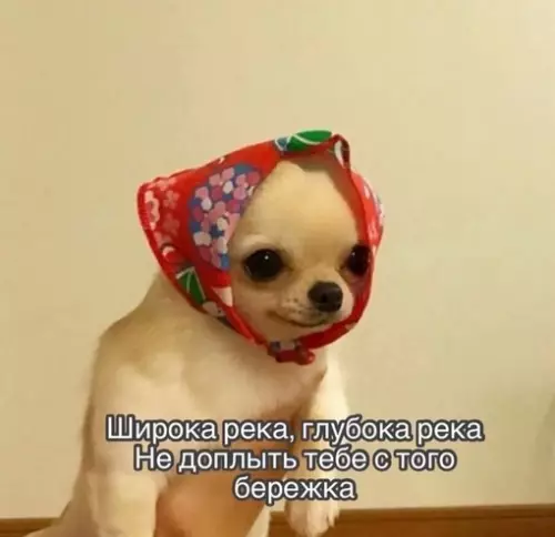 Смешная картинка №711447 Я раньше: как можно слушать это старье?Я сейчас: