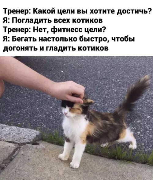 Смешная картинка №685342