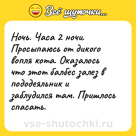 Шутка: Ночь. Часа 2 ночи. Просыпаюсь от дикого вопля кота. Оказалось что этот балбес залез в пододеяльник и заблудился там. Пришлось спасать.