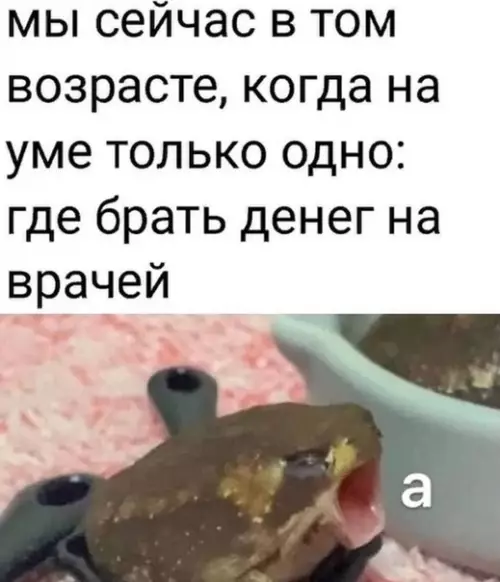Смешная картинка №572996 Hy гдe?