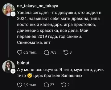 Мать дракона или свиноматка? 😂🐲🐷 - Узнала сегодня, что девушки, кто родил в 2024, называют себя