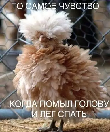 Смешная картинка №416116