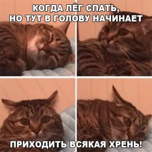 Смешная картинка №232363