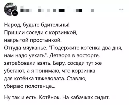 Осторожно, коварные соседи! 🙀 - Народ, будьте бдительны! Пришли соседи с корзинкой, накрытой простынкой. Оттуда