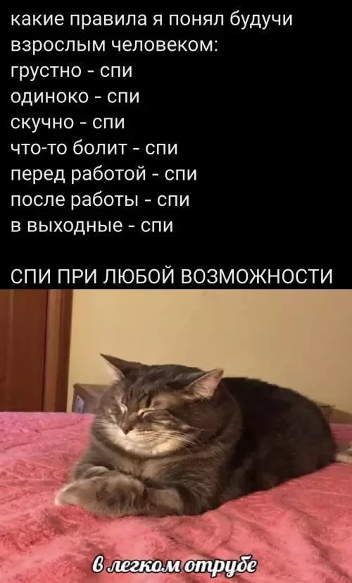 Смешная картинка №772053