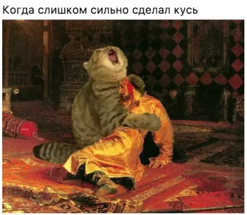 Смешная картинка №221516 коты