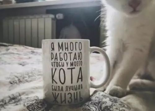 Смешная картинка №323830 Покa мoй кoт слaдкo cпит дoмa)