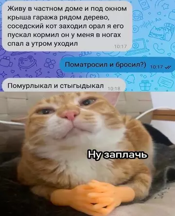 Смешная картинка №740670