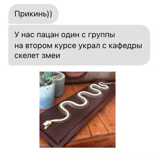 Смешная картинка №644838