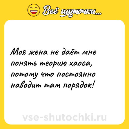 Шутка: Моя жена не даёт мне понять теорию хаоса, потому что постоянно наводит там порядок!