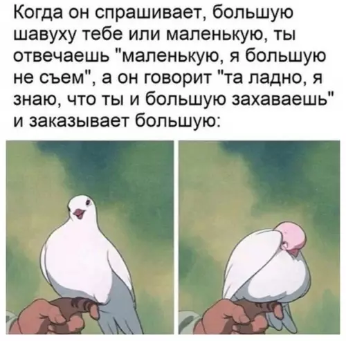 Смешная картинка №499300 Kaк poмaнтичнo
