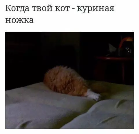Смешная картинка №228424