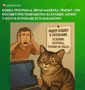 Смешная картинка №771661 Пусть отрабатывает кошки