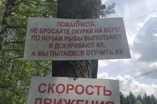 Смешная картинка №678411