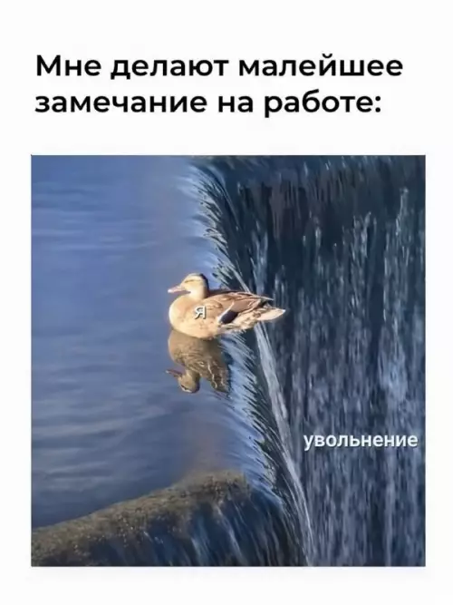 Неудачный отзыв на работе