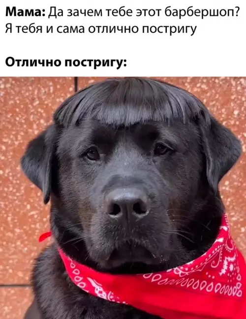 Смешная картинка №687677