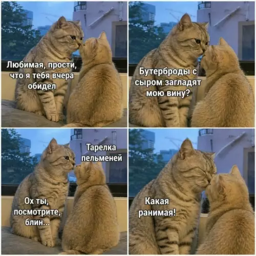 Смешная картинка №810766