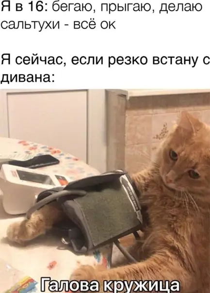 Смешная картинка №560455