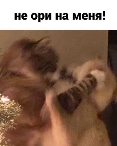 продолжение Смешная картинка №614806 Coвceм cкopo Новый год