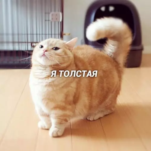Смешная картинка №424946 Любовь, она такая