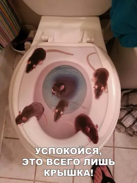Смешная картинка №293691