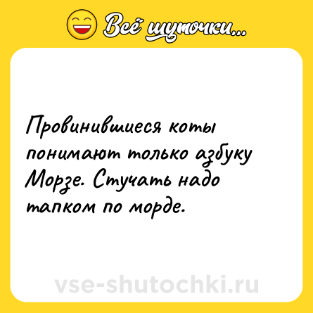 Шутка: Провинившиеся коты понимают только азбуку Морзе. Стучать надо тапком по морде.