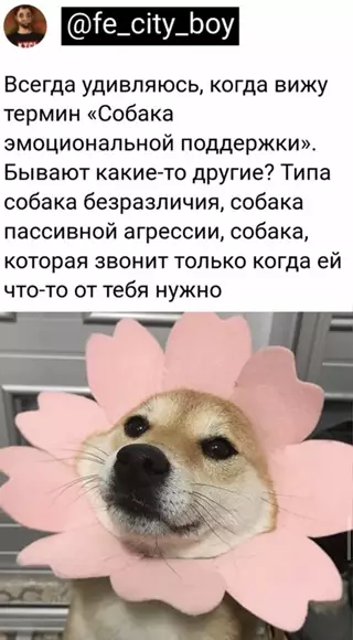 Смешная картинка №651396