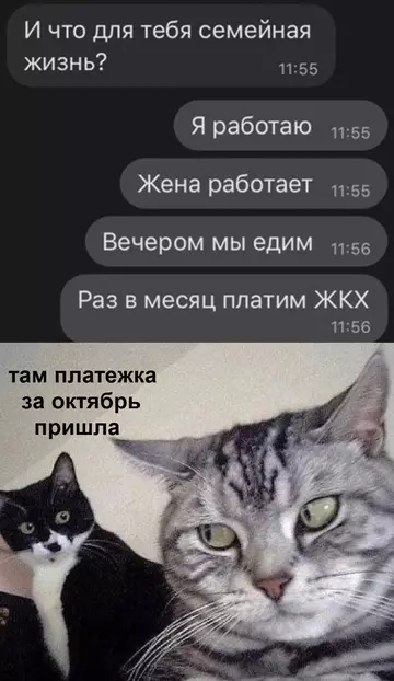 Смешная картинка №735526
