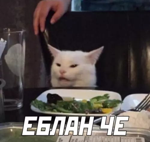 продолжение Смешная картинка №567594