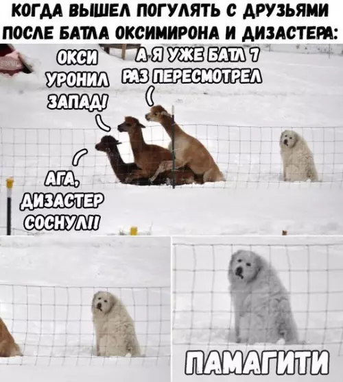 Смешная картинка №215650