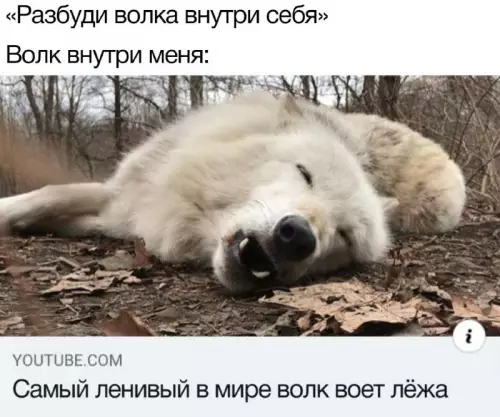 Смешная картинка №670484