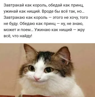 Смешная картинка №649420 Так и живём