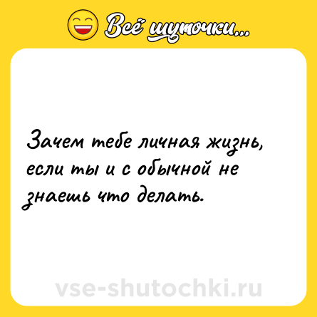 Шутка: Зачем тебе личная жизнь, если ты и с обычной не знаешь что делать.