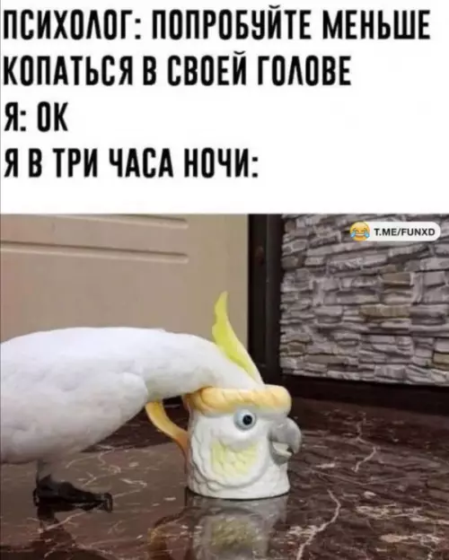 Смешная картинка №651392