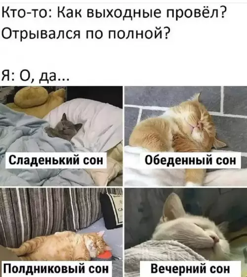 Смешная картинка №754615
