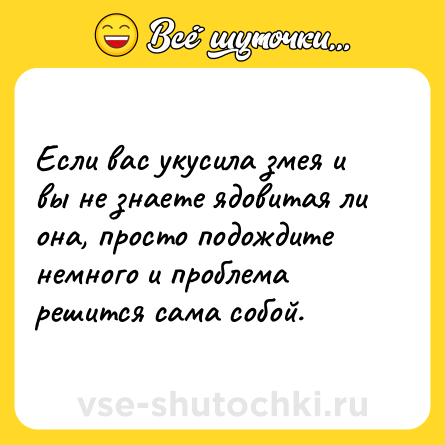 Шутка: Если вас укусила змея и вы не знаете ядовитая ли она, просто подождите немного и проблема решится сама собой.