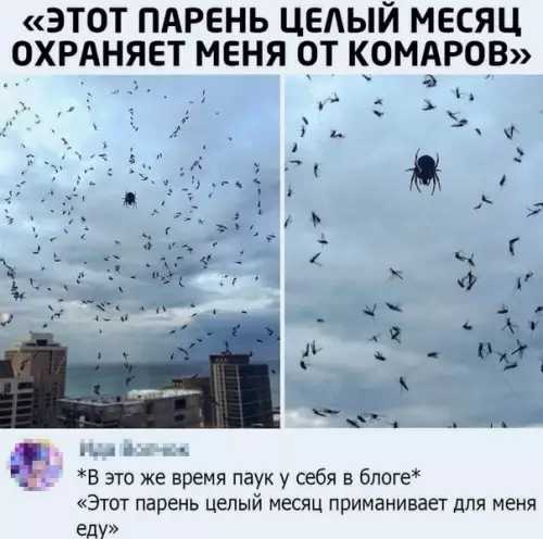Смешная картинка №506073 Хороший симбиоз