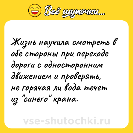 Шутка: Жизнь научила смотреть в обе стороны при переходе дороги с односторонним движением и проверять, не горячая ли вода течет из 