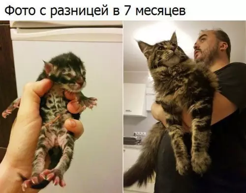Смешная картинка №276039