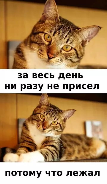 Смешная картинка №735392