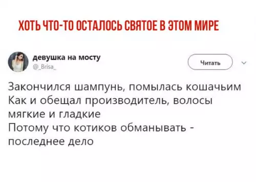 Смешная картинка №228757
