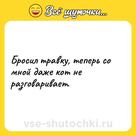 Шутка: Бросил травку, теперь со мной даже кот не разговаривает.