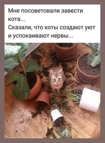 Смешная картинка №374275