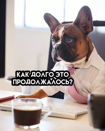 Смешная картинка №767487